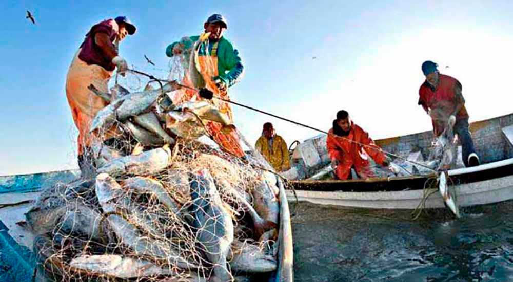 Legge di Bilancio: bene emendamento che rafforza le tutele dei pescatori.Ora serve un ammortizzatore sociale stabile per il settore.